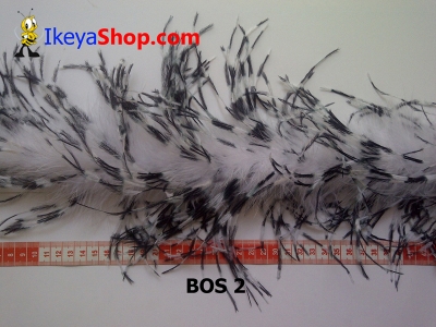 BOS 2  large2